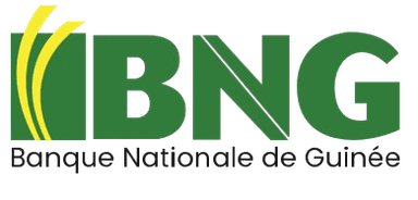 BNG CONNECT